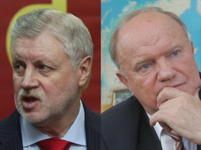 Кто там шагает левой? Депутаты указали, что право гражданина на свободу мирных собраний является составляющей любого демократического общества